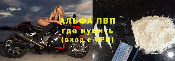 стафф Алексин